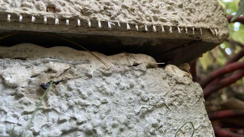 BAU.DE / BAU-Forum: 2. Bild zu Frage "Verschiebung der Au&szlig;enwanddichtung am Keller eines Fertighauses: Abdichtung erforderlich? Expertenrat gesucht" im BAU-Forum "Au&szlig;enw&auml;nde und Fassaden"