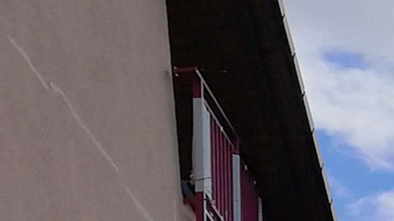 BAU.DE / BAU-Forum: 2. Bild zu Frage "Ursachen und L&ouml;sungen f&uuml;r einen horizontalen Putzriss durch mechanische Einwirkung an der Au&szlig;enfassade: Expertenmeinungen und Handlungsempfehlungen" im BAU-Forum "Au&szlig;enw&auml;nde und Fassaden"