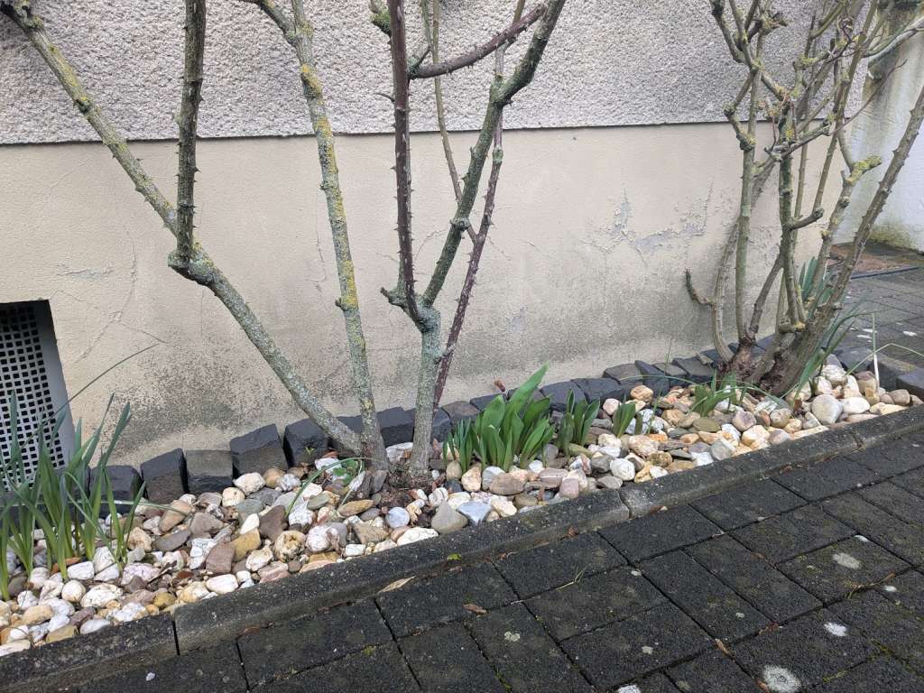 BAU.DE / BAU-Forum: 2. Bild zu Frage "Wer kontrolliert alte DIN Normen in NRW?" im BAU-Forum "Au&szlig;enw&auml;nde und Fassaden"