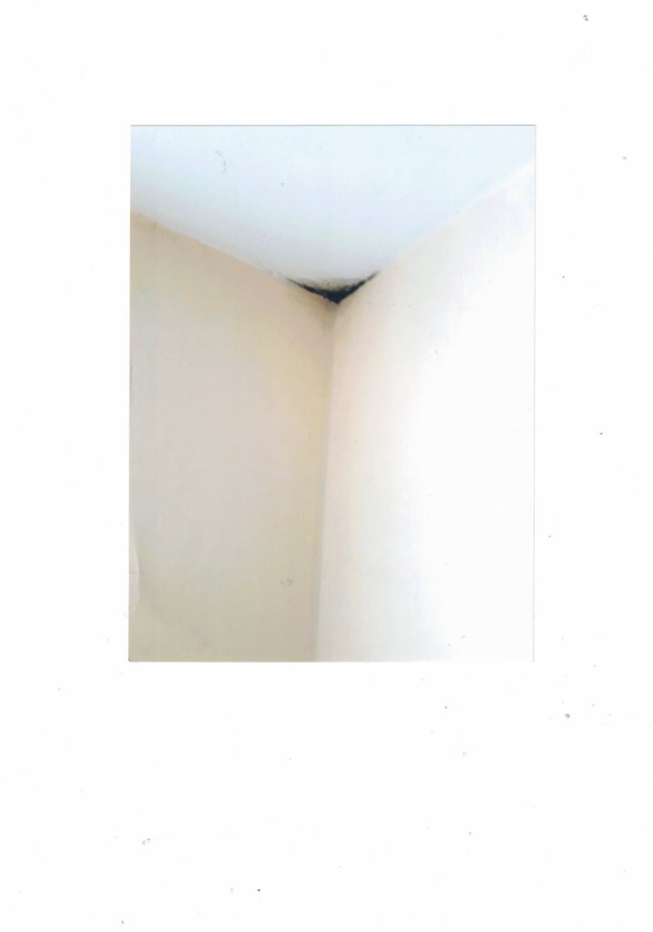BAU.DE / BAU-Forum: 2. Bild zu Frage "Schimmel an Au&szlig;enwand-Ecke EG: Ursachen, Risiken & Sanierung bei Ziegelbau (Baujahr 1966)?" im BAU-Forum "Au&szlig;enw&auml;nde und Fassaden"