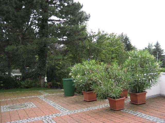 BAU.DE / BAU-Forum: 1. Bild zu Antwort "Betonpflaster: Farbverlust & Alternativen wie Pflasterklinker" auf die Frage "Pflastersteine für Terrasse: Welche sind langlebig, frostsicher & pflegeleicht?" im BAU-Forum "Balkon und Terrasse" BAU.DE / BAU-Forum: 1. Bild zu Antwort "Betonpflaster: Farbverlust & Alternativen wie Pflasterklinker" auf die Frage "Pflastersteine für Terrasse: Welche sind langlebig, frostsicher & pflegeleicht?" im BAU-Forum "Balkon und Terrasse"