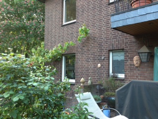 BAU.DE / BAU-Forum: 2. Bild zu Frage "Terrassen&uuml;berdachung unter Einbindung eines Balkons" im BAU-Forum "Balkon und Terrasse"