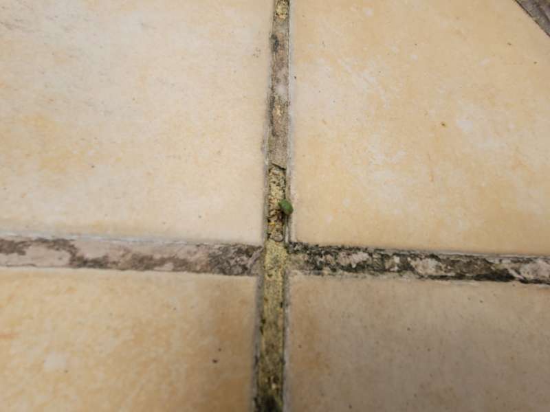 BAU.DE / BAU-Forum: 5. Bild zu Frage "Beste Technik zur Sanierung eines Balkon" im BAU-Forum "Balkon und Terrasse"