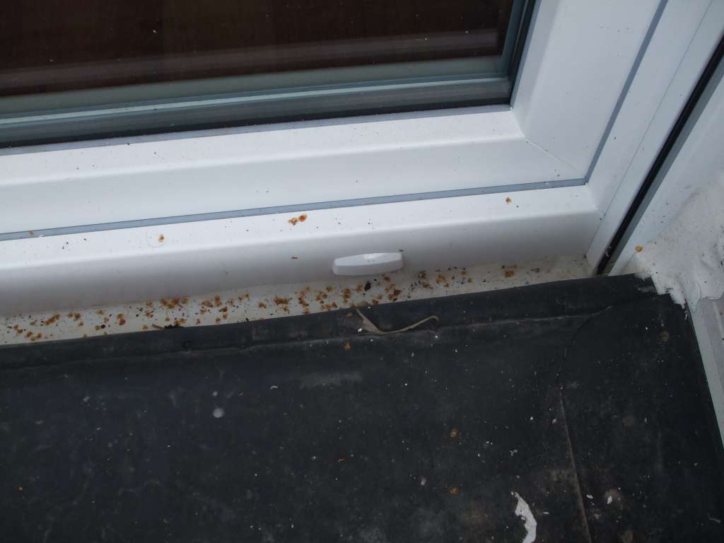 BAU-Forumsbeitrag: Wassereintritt durch Terrassent&uuml;r: L&ouml;sungen f&uuml;r H&ouml;henunterschied zwischen Terrasse und Wohnzimmer?