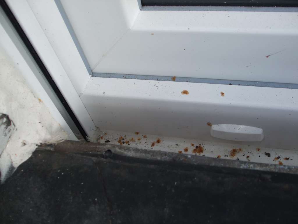 BAU-Forumsbeitrag: Wassereintritt durch Terrassent&uuml;r: L&ouml;sungen f&uuml;r H&ouml;henunterschied zwischen Terrasse und Wohnzimmer?