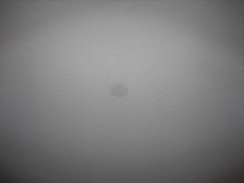 BAU.DE / BAU-Forum: 1. Bild zu Antwort "Nicht am Giebel, sondern mittig an der Dachschräge..." auf die Frage "Nasse Flecken Dachschräge: Ursachen, Risiken & Sofortmaßnahmen im Fertighaus?" im BAU-Forum "Bauphysik" BAU.DE / BAU-Forum: 1. Bild zu Antwort "Nicht am Giebel, sondern mittig an der Dachschräge..." auf die Frage "Nasse Flecken Dachschräge: Ursachen, Risiken & Sofortmaßnahmen im Fertighaus?" im BAU-Forum "Bauphysik"