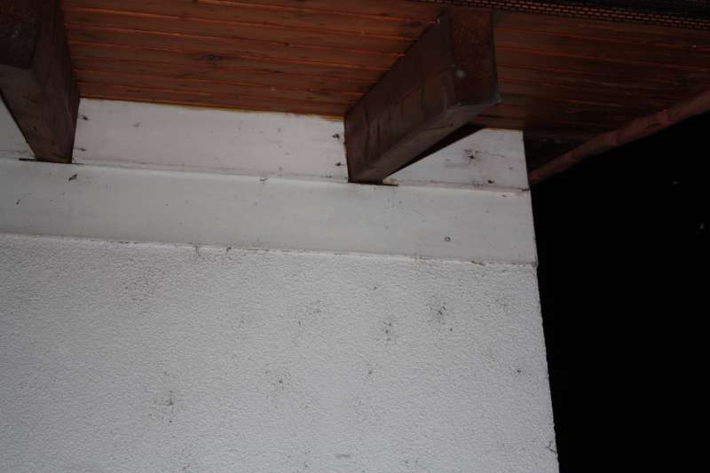 BAU.DE / BAU-Forum: 2. Bild zu Frage "Wasser auf der Dampfsperre" im BAU-Forum "Bauphysik" BAU.DE / BAU-Forum: 2. Bild zu Frage "Wasser auf der Dampfsperre" im BAU-Forum "Bauphysik"