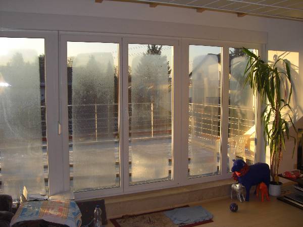 BAU.DE / BAU-Forum: 2. Bild zu Antwort "danke für die Mühe, aber die meisten Faktoren kann ich ausschließen" auf die Frage "3-fach verglaste Fenster: Kunststoff vs. Alu – Unterschiede bei Dämmung & Beschlag?" im BAU-Forum "Bauphysik" BAU.DE / BAU-Forum: 2. Bild zu Antwort "danke für die Mühe, aber die meisten Faktoren kann ich ausschließen" auf die Frage "3-fach verglaste Fenster: Kunststoff vs. Alu – Unterschiede bei Dämmung & Beschlag?" im BAU-Forum "Bauphysik"