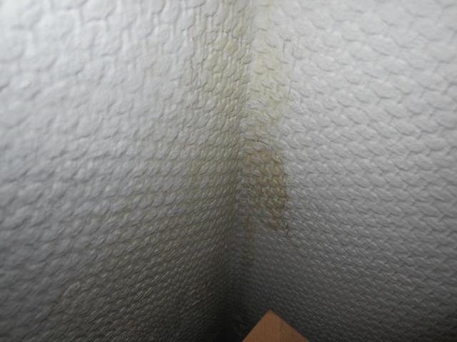 BAU.DE / BAU-Forum: 5. Bild zu Frage "In unserem Reihenmittelhaus - Baujahr 1999..." im BAU-Forum "Bauphysik" BAU.DE / BAU-Forum: 5. Bild zu Frage "In unserem Reihenmittelhaus - Baujahr 1999..." im BAU-Forum "Bauphysik"