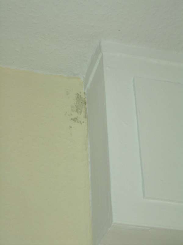 BAU.DE / BAU-Forum: 2. Bild zu Antwort "Die DIN 4108-2 l&ouml;st nicht alle Probleme" auf die Frage "W&auml;rmebr&uuml;ckenberechnung: Nachweis bei Abweichung von Normbedingungen &ndash; Vorgehen & Kosten?" im BAU-Forum "Bauphysik"