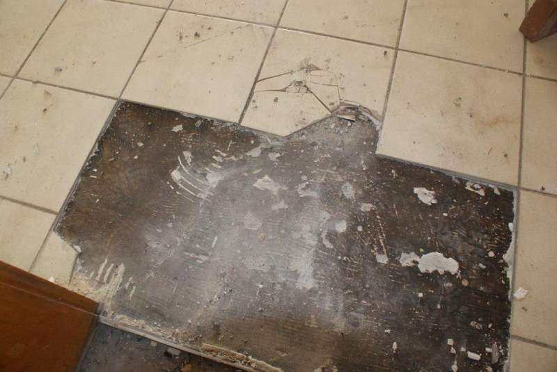 BAU.DE / BAU-Forum: 4. Bild zu Frage "seltsamer Bodenbelag" im BAU-Forum "Baustoffe" BAU.DE / BAU-Forum: 4. Bild zu Frage "seltsamer Bodenbelag" im BAU-Forum "Baustoffe"