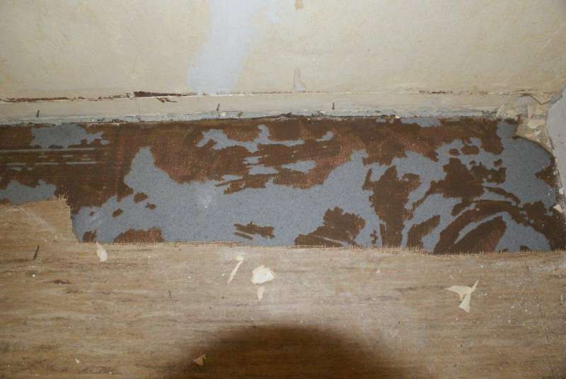 BAU.DE / BAU-Forum: 1. Bild zu Antwort "noch ein Foto vom OG" auf die Frage "Bodenplatten identifizieren: Material, Alter & potentielle Gefahren im Altbau?" im BAU-Forum "Baustoffe" BAU.DE / BAU-Forum: 1. Bild zu Antwort "noch ein Foto vom OG" auf die Frage "Bodenplatten identifizieren: Material, Alter & potentielle Gefahren im Altbau?" im BAU-Forum "Baustoffe"