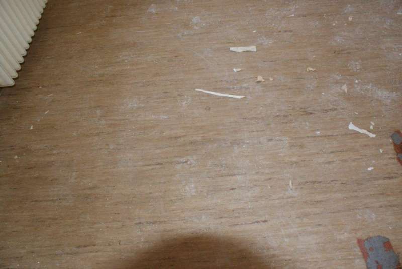 BAU.DE / BAU-Forum: 3. Bild zu Antwort "noch ein Foto vom OG" auf die Frage "Bodenplatten identifizieren: Material, Alter & potentielle Gefahren im Altbau?" im BAU-Forum "Baustoffe" BAU.DE / BAU-Forum: 3. Bild zu Antwort "noch ein Foto vom OG" auf die Frage "Bodenplatten identifizieren: Material, Alter & potentielle Gefahren im Altbau?" im BAU-Forum "Baustoffe"