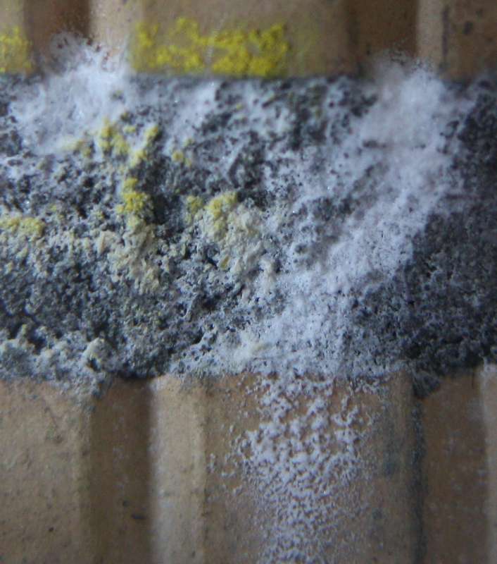 BAU.DE / BAU-Forum: 1. Bild zu Frage "Weiße Ausblühungen im Mörtel" im BAU-Forum "Baustoffe" BAU.DE / BAU-Forum: 1. Bild zu Frage "Weiße Ausblühungen im Mörtel" im BAU-Forum "Baustoffe"