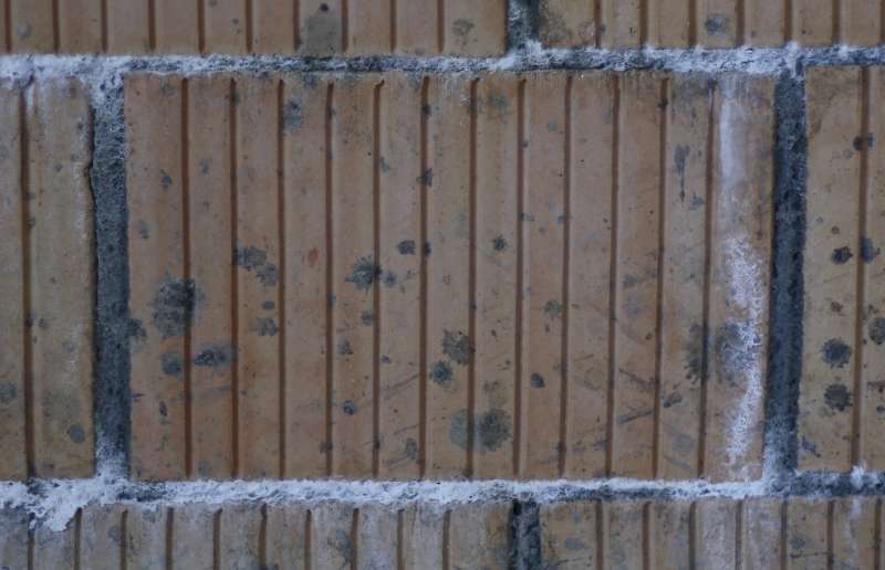 BAU.DE / BAU-Forum: 2. Bild zu Frage "Weiße Ausblühungen im Mörtel" im BAU-Forum "Baustoffe" BAU.DE / BAU-Forum: 2. Bild zu Frage "Weiße Ausblühungen im Mörtel" im BAU-Forum "Baustoffe"