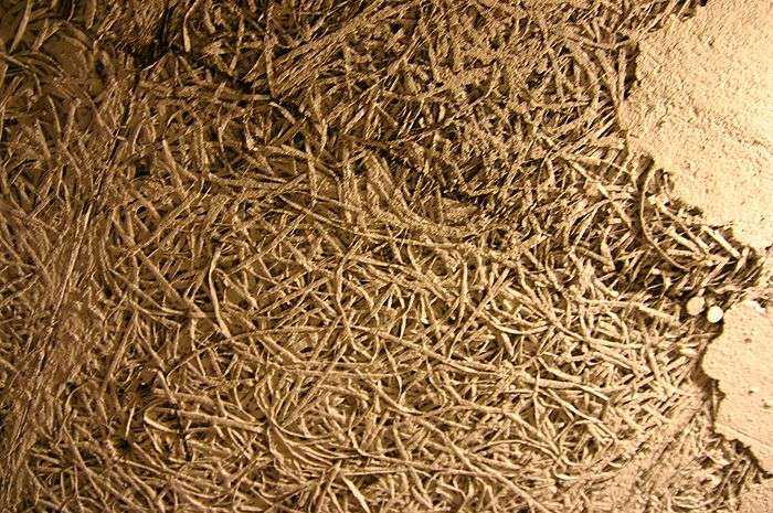 BAU.DE / BAU-Forum: 3. Bild zu Frage "Dämmstoff von 1964 - Asbest?" im BAU-Forum "Baustoffe" BAU.DE / BAU-Forum: 3. Bild zu Frage "Dämmstoff von 1964 - Asbest?" im BAU-Forum "Baustoffe"