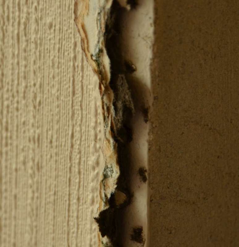 BAU.DE / BAU-Forum: 1. Bild zu Frage "Isoliertapete 60er Jahre - giftig?" im BAU-Forum "Baustoffe" BAU.DE / BAU-Forum: 1. Bild zu Frage "Isoliertapete 60er Jahre - giftig?" im BAU-Forum "Baustoffe"