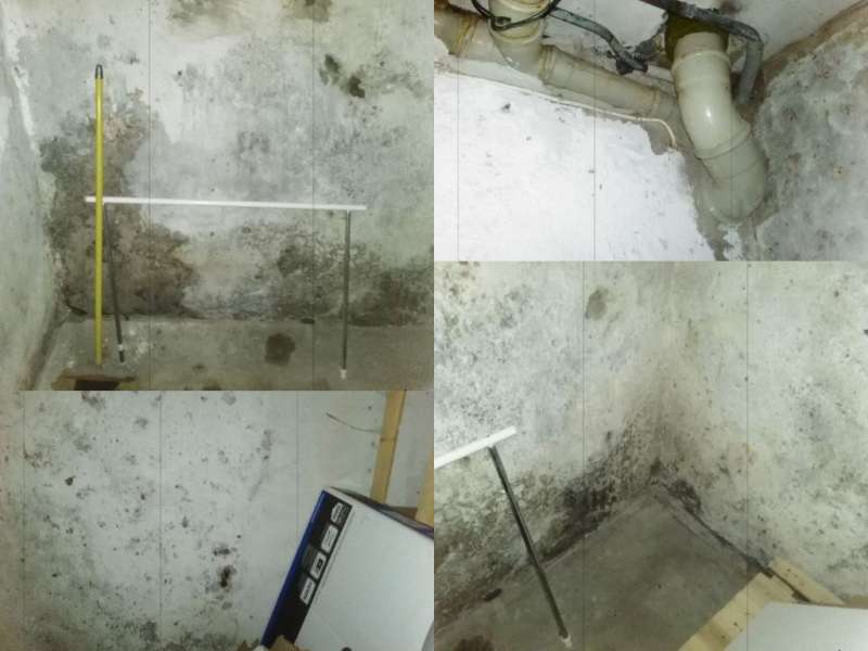 BAU.DE / BAU-Forum: 2. Bild zu Frage "Asbest? Hausschwamm? Schimmel? Gesundheitsgefahr? Bitte um Hilfe" im BAU-Forum "Baustoffe"