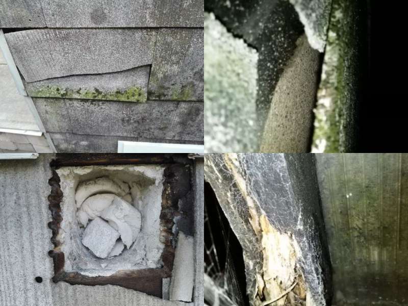 BAU.DE / BAU-Forum: 5. Bild zu Frage "Asbest? Hausschwamm? Schimmel? Gesundheitsgefahr? Bitte um Hilfe" im BAU-Forum "Baustoffe"