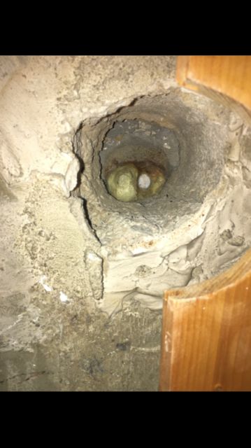 BAU.DE / BAU-Forum: 1. Bild zu Frage "Materialfragen beim Deckendurchbruch" im BAU-Forum "Baustoffe"