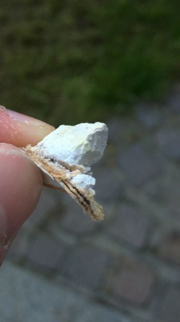 BAU.DE / BAU-Forum: 3. Bild zu Frage "Materialfrage bei Deckenplatte" im BAU-Forum "Baustoffe"