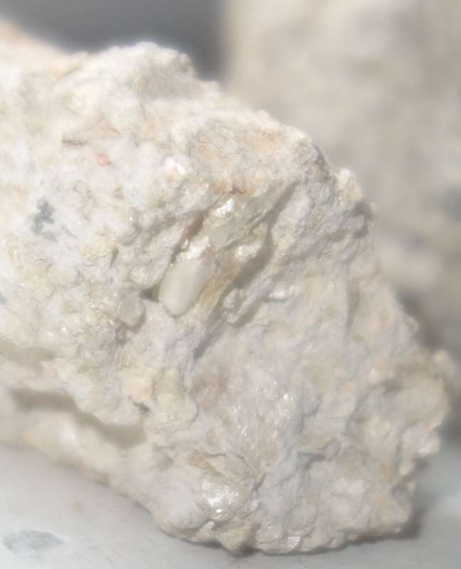 BAU.DE / BAU-Forum: 3. Bild zu Frage "Asbest im M&ouml;rtel?" im BAU-Forum "Baustoffe"