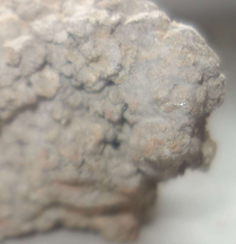 BAU.DE / BAU-Forum: 4. Bild zu Frage "Asbest im M&ouml;rtel?" im BAU-Forum "Baustoffe"