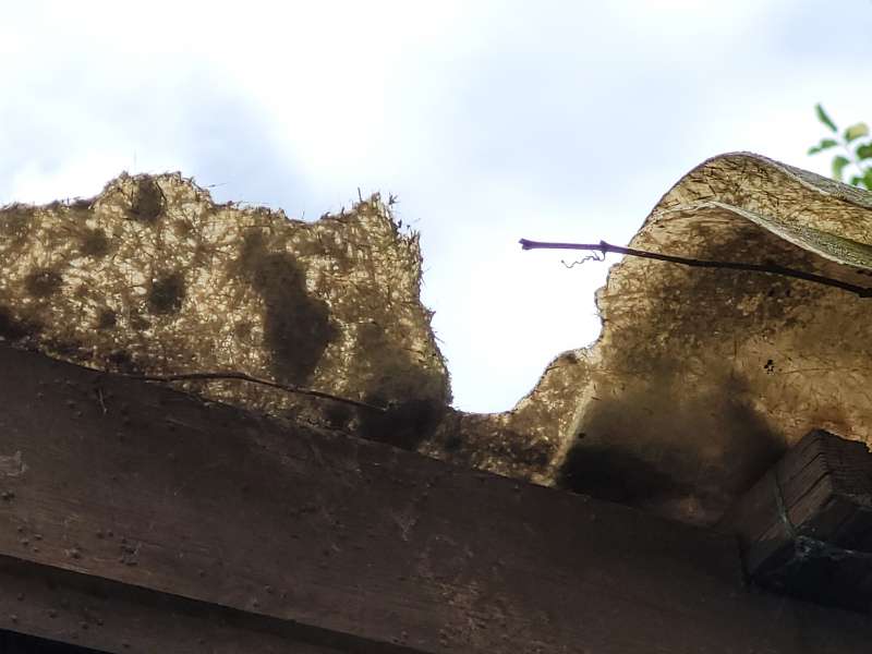 BAU.DE / BAU-Forum: 1. Bild zu Frage "Aus welchem Material ist dieses Dach?" im BAU-Forum "Baustoffe"