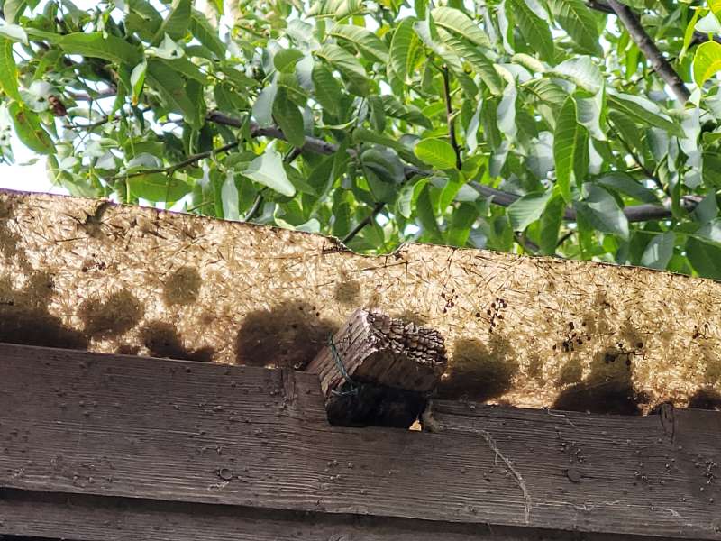 BAU.DE / BAU-Forum: 2. Bild zu Frage "Aus welchem Material ist dieses Dach?" im BAU-Forum "Baustoffe"