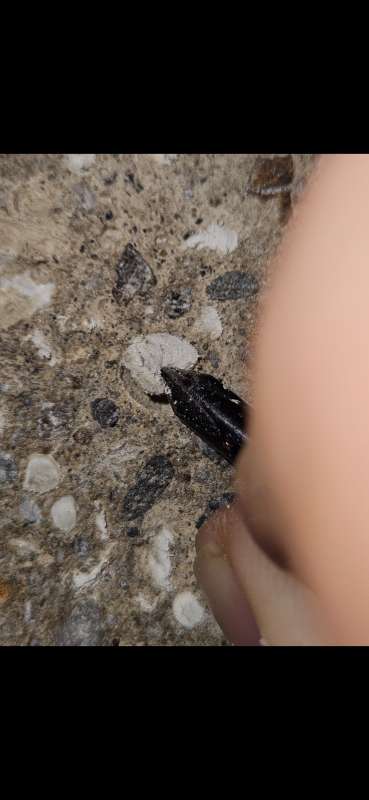 BAU.DE / BAU-Forum: 1. Bild zu Antwort "Auf jeden Fall Schaum" auf die Frage "EPS-Beton U-Wert berechnen: D&auml;mmwirkung, Taupunkt & Kosten bei unbekannter Menge?" im BAU-Forum "Baustoffe"