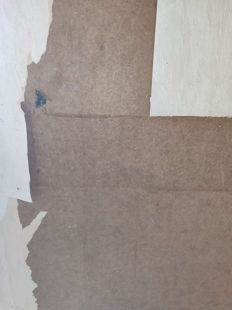 BAU.DE / BAU-Forum: 1. Bild zu Frage "Gartenhaus-Platten bestimmen: Material, Schadstoffe & Sanierung in Th&uuml;ringen?" im BAU-Forum "Baustoffe"