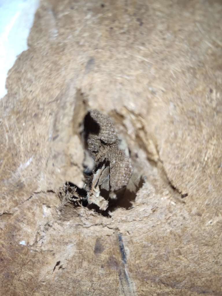 BAU.DE / BAU-Forum: 2. Bild zu Frage "Gartenhaus-Platten bestimmen: Material, Schadstoffe & Sanierung in Th&uuml;ringen?" im BAU-Forum "Baustoffe"