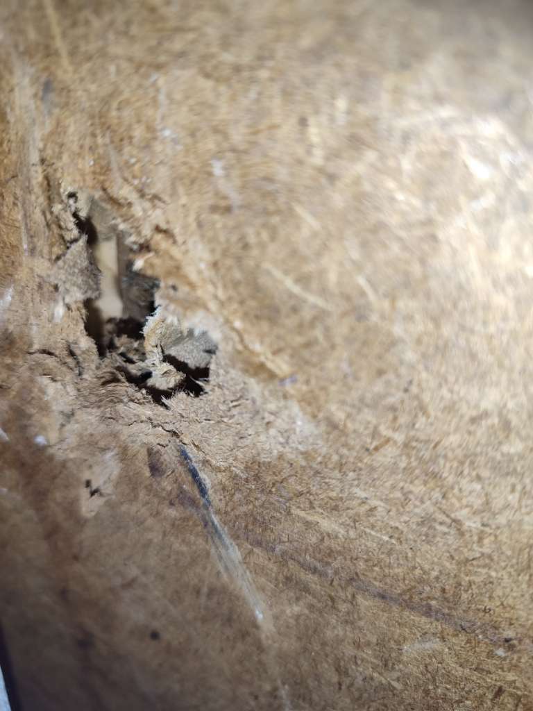 BAU.DE / BAU-Forum: 4. Bild zu Frage "Gartenhaus-Platten bestimmen: Material, Schadstoffe & Sanierung in Th&uuml;ringen?" im BAU-Forum "Baustoffe"