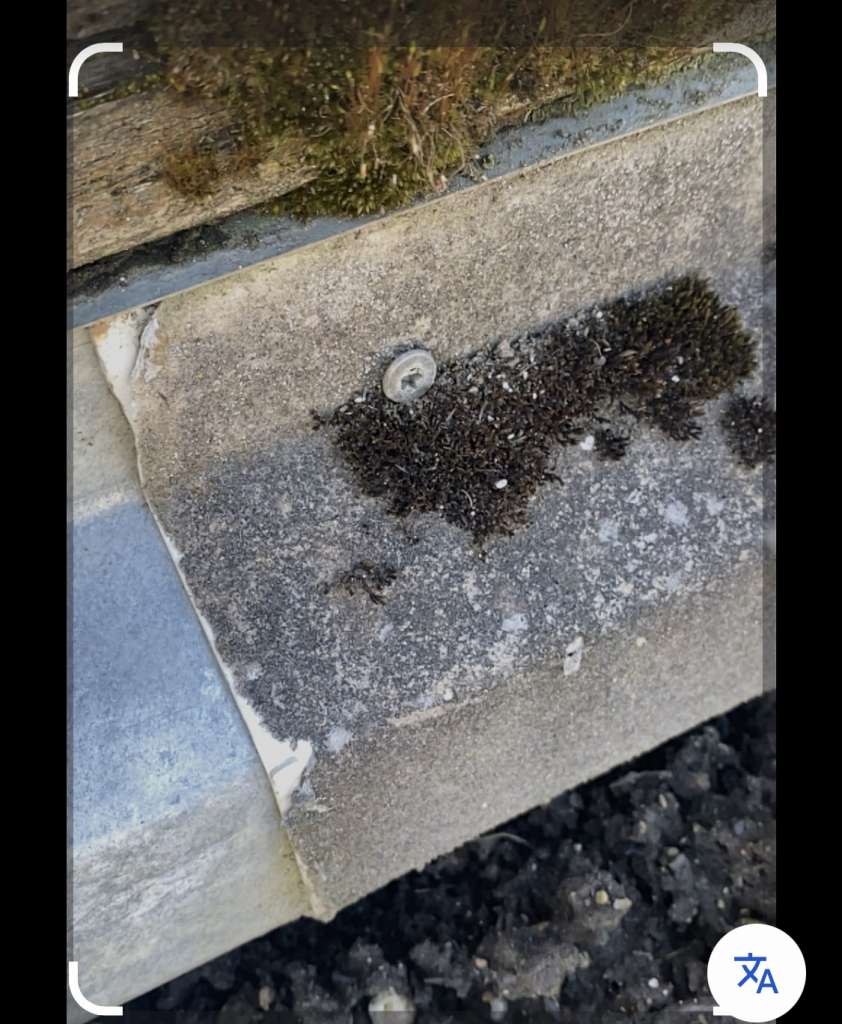 BAU.DE / BAU-Forum: 1. Bild zu Frage "Asbestverdacht im Hochbeet: Altes Dachblech mit Vlies - Gesundheitsrisiko f&uuml;r Kind?" im BAU-Forum "Baustoffe"