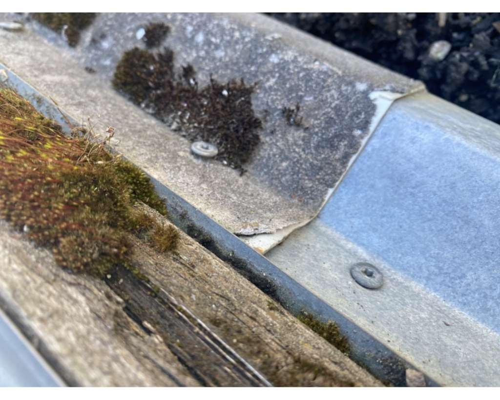 BAU.DE / BAU-Forum: 2. Bild zu Frage "Asbestverdacht im Hochbeet: Altes Dachblech mit Vlies - Gesundheitsrisiko f&uuml;r Kind?" im BAU-Forum "Baustoffe"