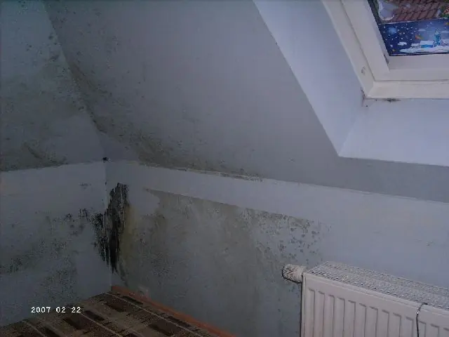 BAU.DE / BAU-Forum: 1. Bild zu Frage "Schimmel durch fehlende Dachziegel: Ursachen, Risiken & Sanierungskosten?" im BAU-Forum "Dach"