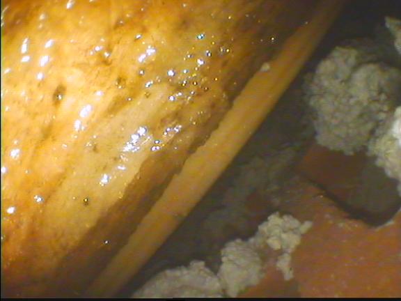 BAU.DE / BAU-Forum: 2. Bild zu Frage "Dach undicht? N&auml;sse an Au&szlig;enwand: Ursachen, Risiken & Sofortma&szlig;nahmen" im BAU-Forum "Dach"