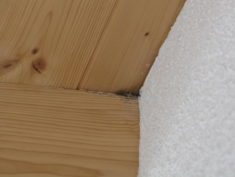 BAU.DE / BAU-Forum: 3. Bild zu Frage "Dach undicht? N&auml;sse an Au&szlig;enwand: Ursachen, Risiken & Sofortma&szlig;nahmen" im BAU-Forum "Dach"