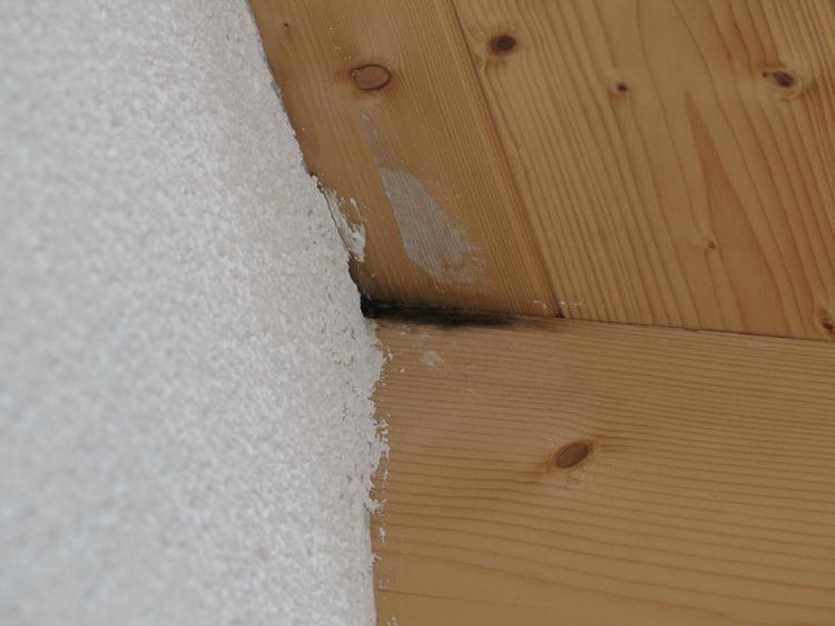 BAU.DE / BAU-Forum: 4. Bild zu Frage "Dach undicht? N&auml;sse an Au&szlig;enwand: Ursachen, Risiken & Sofortma&szlig;nahmen" im BAU-Forum "Dach"