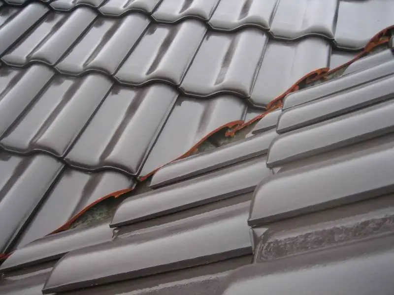 BAU.DE / BAU-Forum: 1. Bild zu Frage "Hohlkehle abdichten gegen V&ouml;gel & Marder: Methoden, Kosten & Materialien?" im BAU-Forum "Dach"