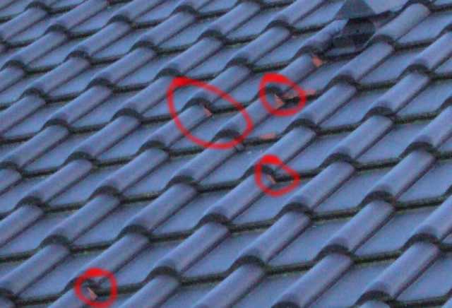 BAU.DE / BAU-Forum: 1. Bild zu Antwort "Dachziegel: Zu enge Eindeckung als Ursache f&uuml;r Risse?" auf die Frage "Dachziegel Abplatzungen nach Winter: Materialfehler, Gew&auml;hrleistung & Ursachen?" im BAU-Forum "Dach"