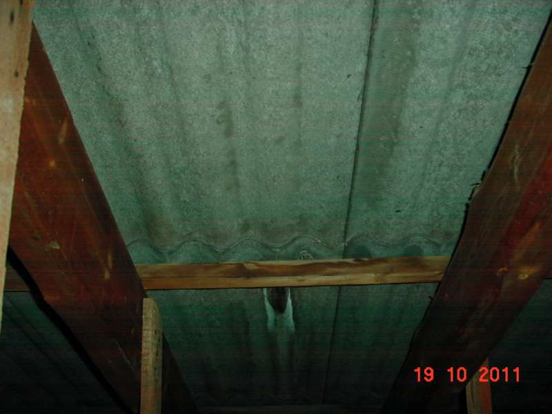 BAU.DE / BAU-Forum: 4. Bild zu Frage "Wellplatten identifizieren: Asbestgefahr, Baujahr 1964 Kreis Lippe - Was sind das f&uuml;r Platten?" im BAU-Forum "Dach"