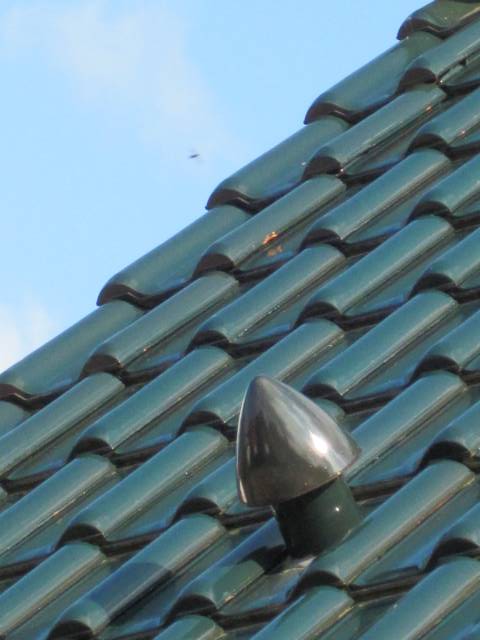 BAU.DE / BAU-Forum: 1. Bild zu Frage "Tondachziegel Abplatzungen: Ursachen, Kosten & Austausch defekter Pfleiderer Dachsteine?" im BAU-Forum "Dach"