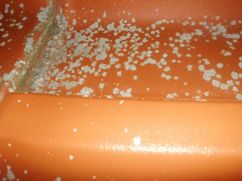 BAU.DE / BAU-Forum: 1. Bild zu Frage "Moos & Flechten vom Dachziegel entfernen: Ursachen, Methoden & Empfehlungen?" im BAU-Forum "Dach" BAU.DE / BAU-Forum: 1. Bild zu Frage "Moos & Flechten vom Dachziegel entfernen: Ursachen, Methoden & Empfehlungen?" im BAU-Forum "Dach"