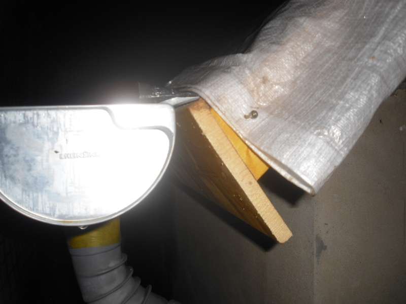 BAU.DE / BAU-Forum: 4. Bild zu Antwort "Stirnbrett Montage: Danke für die Anfrage!" auf die Frage "Stirnbrett Montage: Anleitung, Befestigung & Material für langlebige Giebel?" im BAU-Forum "Dach" BAU.DE / BAU-Forum: 4. Bild zu Antwort "Stirnbrett Montage: Danke für die Anfrage!" auf die Frage "Stirnbrett Montage: Anleitung, Befestigung & Material für langlebige Giebel?" im BAU-Forum "Dach"