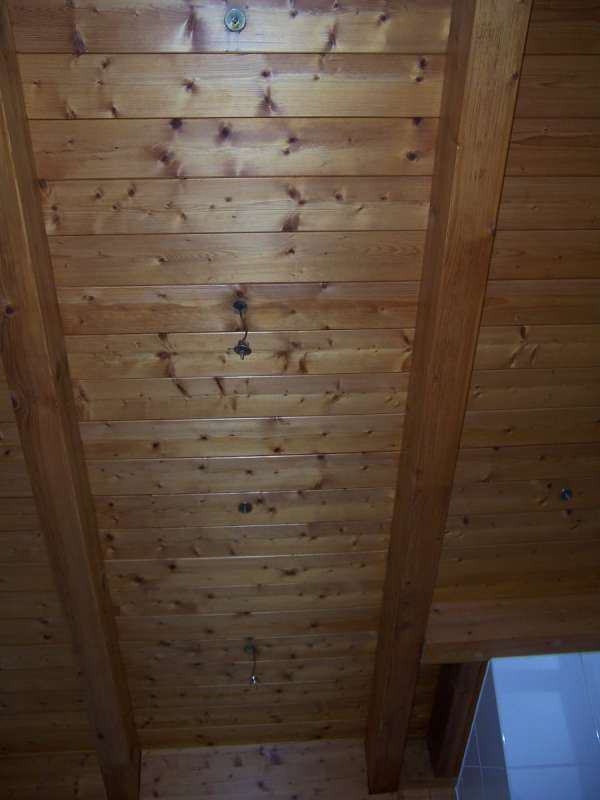 BAU.DE / BAU-Forum: 2. Bild zu Frage "Einbaustrahler im Bad: D&auml;mmung besch&auml;digt &ndash; Ursachen, Risiken & Sanierung?" im BAU-Forum "Dach"