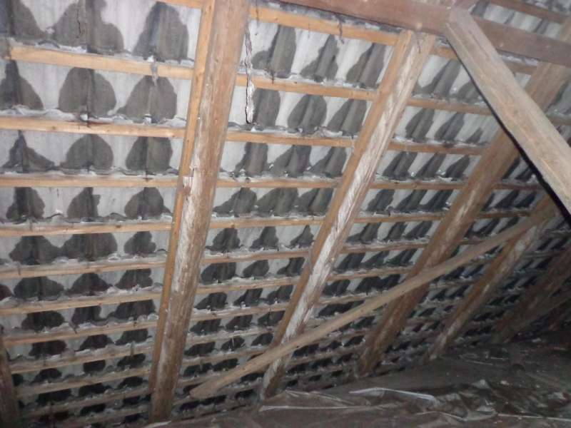 BAU.DE / BAU-Forum: 3. Bild zu Antwort "Hier die Bilder" auf die Frage "Betondachpfannen nass: Ursachen, Risiken & Sanierungskosten beim Hauskauf?" im BAU-Forum "Dach"