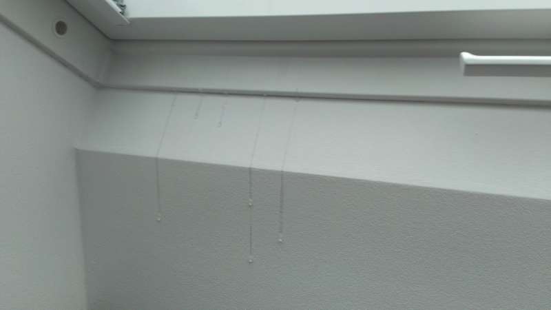 BAU.DE / BAU-Forum: 3. Bild zu Frage "Velux Dachfenster: Wassereintritt bei K&auml;lte &ndash; Ursachen, Kondensat & L&ouml;sungen?" im BAU-Forum "Dach"