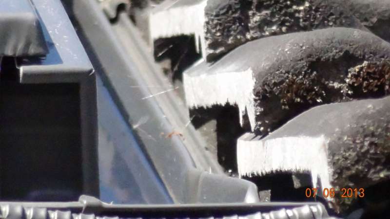 BAU.DE / BAU-Forum: 2. Bild zu Frage "Dachfenster Einbau prüfen: Abstand Pfanne/Fensterrahmen zu groß? Toleranzen, Wassereintritt" im BAU-Forum "Dach" BAU.DE / BAU-Forum: 2. Bild zu Frage "Dachfenster Einbau prüfen: Abstand Pfanne/Fensterrahmen zu groß? Toleranzen, Wassereintritt" im BAU-Forum "Dach"