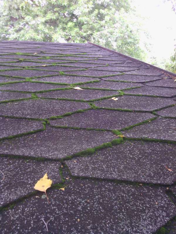 BAU.DE / BAU-Forum: 1. Bild zu Frage "Bitumenschindeln abdichten mit Bitumenlatex: Anleitung, Risiken & Alternativen" im BAU-Forum "Dach"